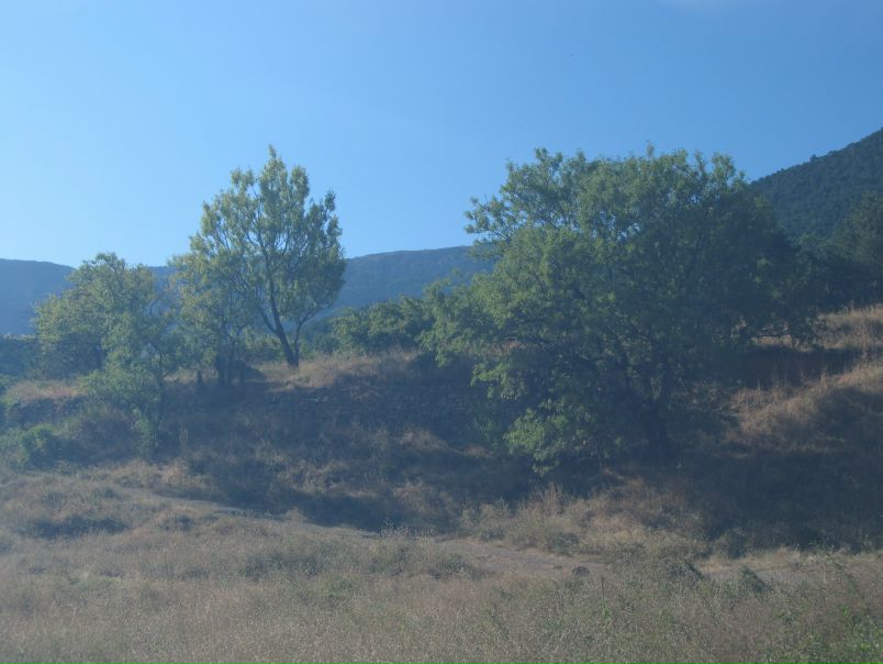 Valera Kovalenko фото №26