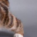 Вєталь Серйозний фотография #28 (источник - https://vk.com/id136859700)