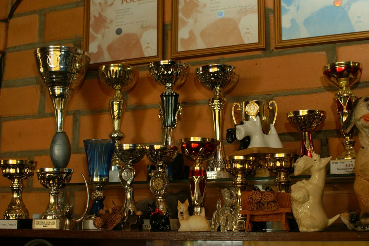 Anton Kasimov фотография #23