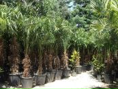 Андрій Петрашик фотография #9 (источник - https://vk.com/id133901041)