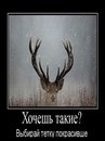Сергій Комарницький фотография #5 (источник - https://vk.com/id161936971)