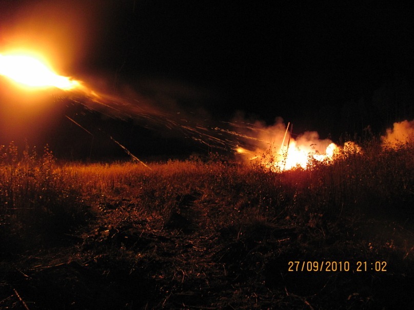 Дмитрий Алексеев фотография #50