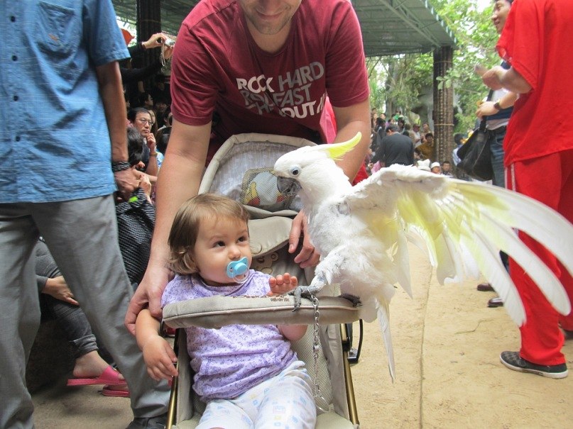 Дмитрий Русаленко фотография #32