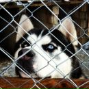 Anna Çınar фотография #6 (источник - https://vk.com/id14469793)