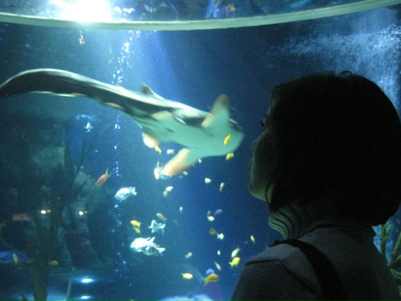 №20, Мария Степина, Санкт-Петербург №20, Мария Степина, Санкт-Петербург