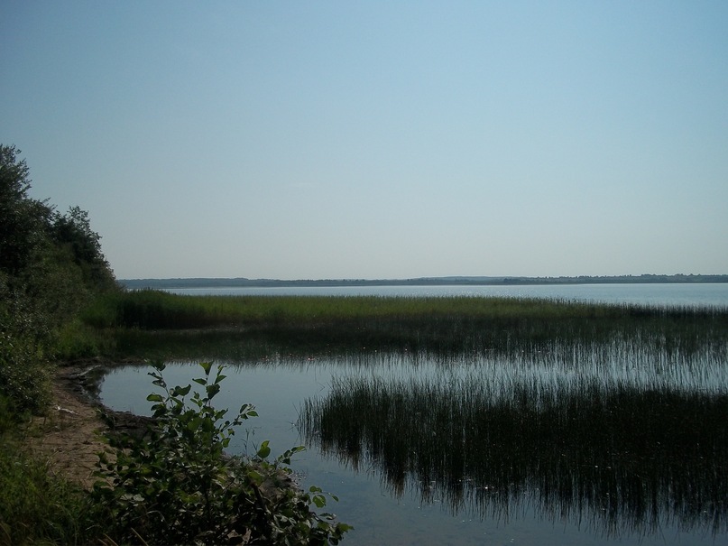 Елена Тимофеева фотография #28