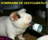 Фотография Акбарова Сергея