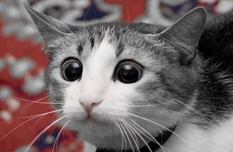 №4, Alex Blynsky №4, Alex Blynsky