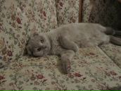 Иван Родыгин фотография #30 (источник - https://vk.com/id18281098)