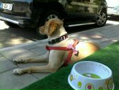 Enis Başaran фотография #16 (источник - https://vk.com/id167882187)