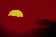 Вітя Кут фотография #3 (источник - https://vk.com/id139076140)