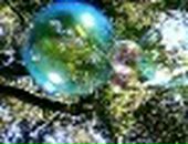 Вікуся Пустовалова фотография #5 (источник - https://vk.com/id47856574)