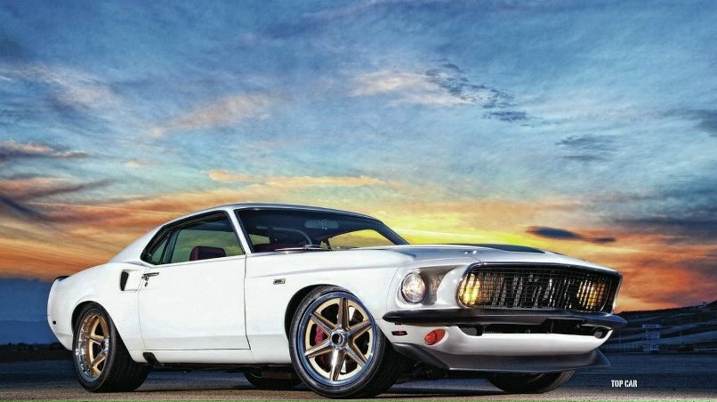 Vasa Plotnik фотография #38