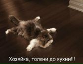 Валік Зінчук фотография #35 (источник - https://vk.com/id94820243)