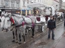 Ігор Карпа фотография #8 (источник - https://vk.com/id159842749)