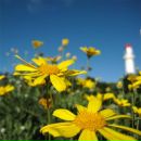 Фотография Кузовлева Александра