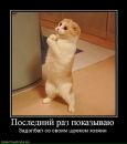 Александр Головань фотография #18 (источник - https://vk.com/id55811247)