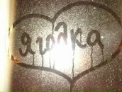 Фотография Ширшаковой Анастасии