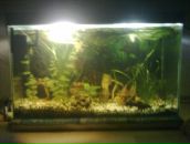 Ромік Activ фотография #19 (источник - https://vk.com/id30233545)