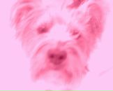 Фотография Баженовой Юлии