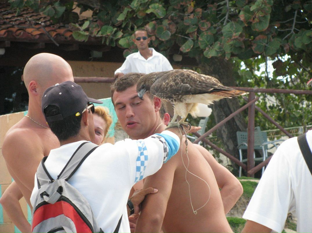 Сергей Коваленко фотография #21