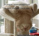 Фотография Надежда Хапеева