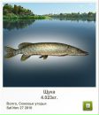 Вадім Юрчак фотография #18 (источник - https://vk.com/id53270129)