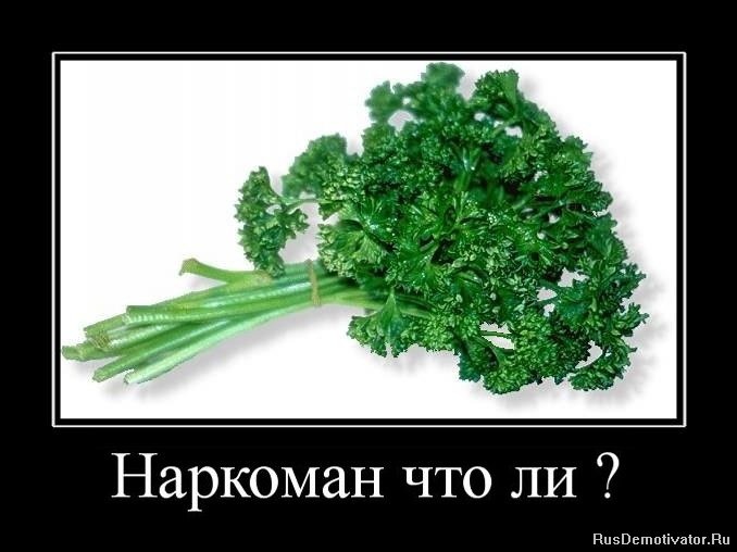 Евгений Кошелев фотография #17