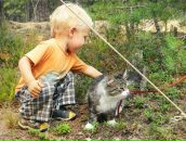 Денис Колляков фотография #17 (источник - https://vk.com/id924398)