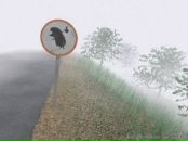 Фотография Басиной Алины