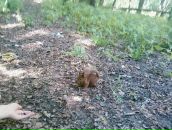 Юліанна Гельмас фотография #22 (источник - https://vk.com/id65676730)