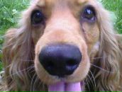 Дюся Халюзіна фотография #16 (источник - https://vk.com/id39063853)