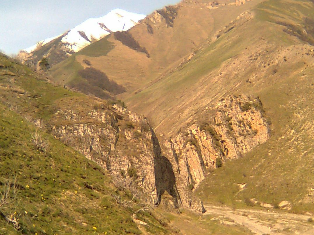 Switch Back фотография #39