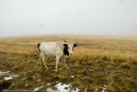 Фотография Муратовой Ксении