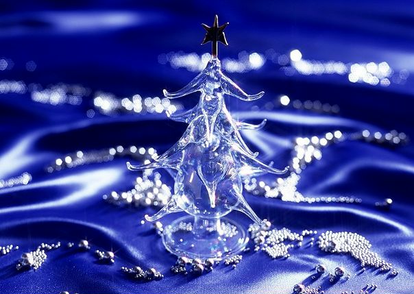 Bloom Winx фото №19