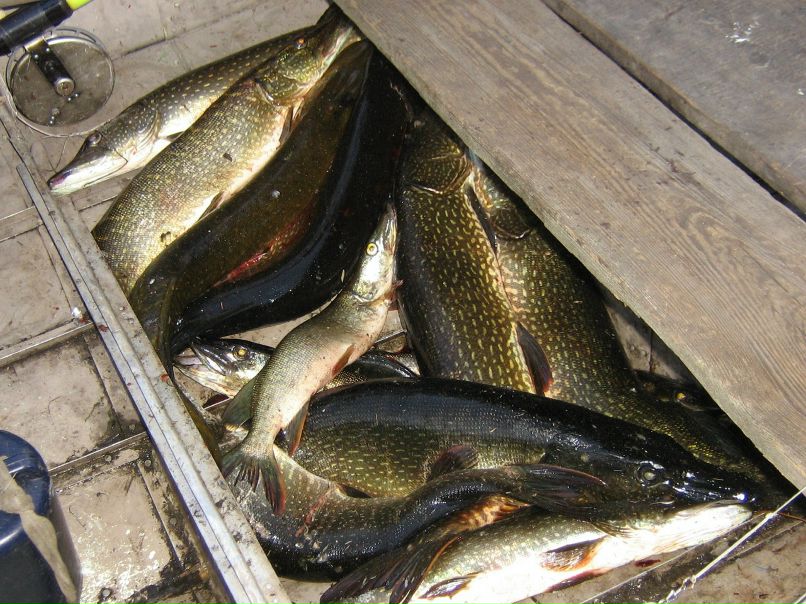 Мерген Начын фотография #7