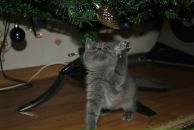 Фотография Филимоновой Анастасии