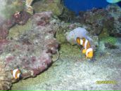 Андрій Шакуда фотография #49 (источник - https://vk.com/id86138264)