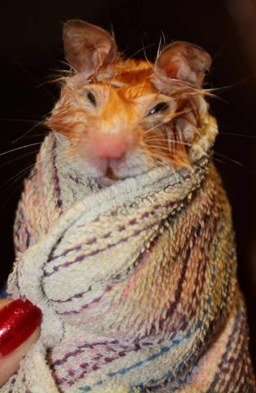 Слава Орлов фотография #20