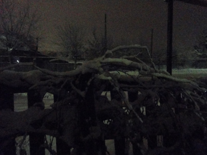 Сергей Храмков фотография #45