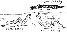 Anton Kanefsky фотография #3 (источник - https://vk.com/id1241544)