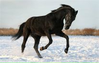 Найк ...™ фотография #8 (источник - https://vk.com/id101479513)