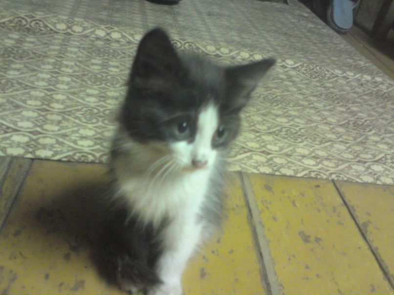 Сергей Табаков фотография #33