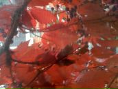 Фотография Бурбы Инны