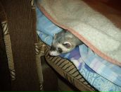 Дима Сергеевич фотография #42 (источник - https://vk.com/id1479155)