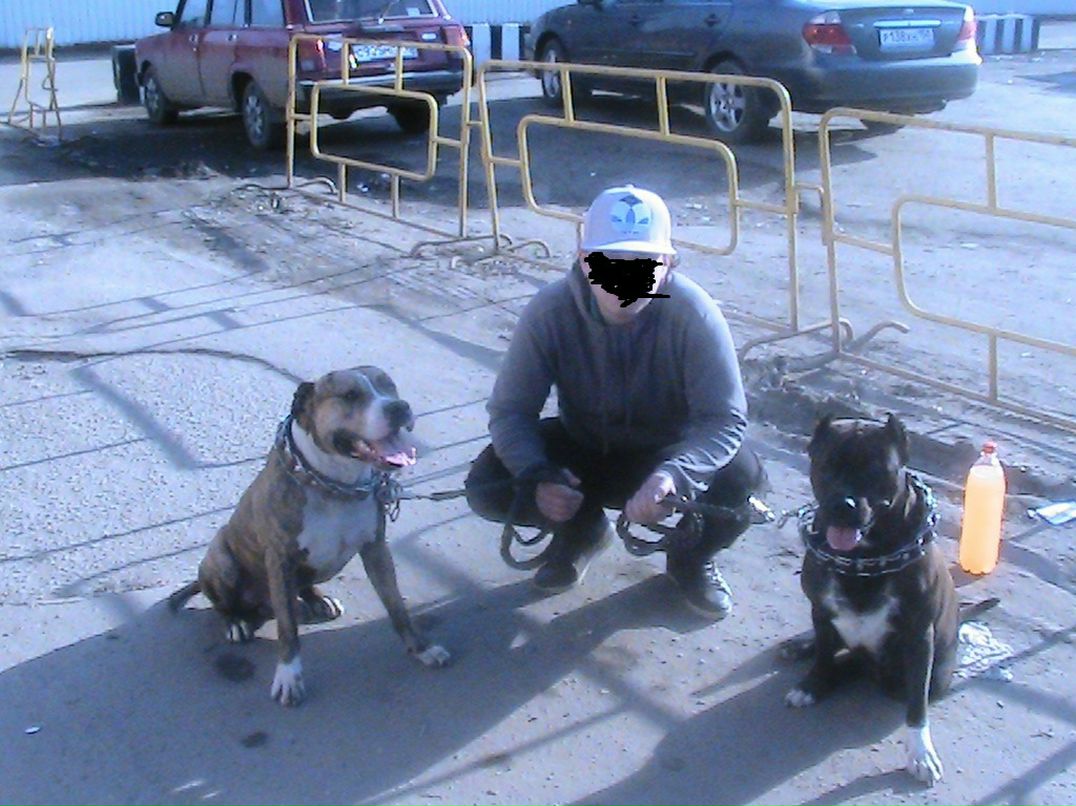 Ded Ded фотография #26