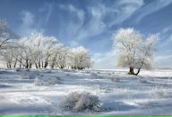 Іра Калиняк фотография #44 (источник - https://vk.com/id37693312)