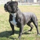 Вася Білоус фотография #18 (источник - https://vk.com/id67008547)