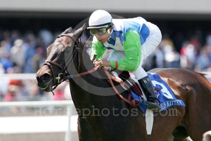 Девил Кобыла фотография #43