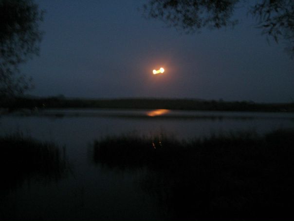 Лика )) фото №26